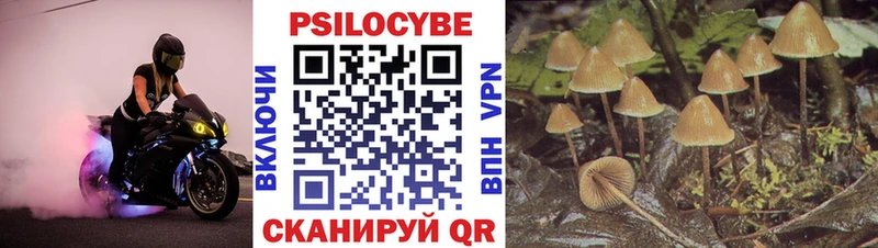 Купить где  Нерчинск  Псилоцибиновые грибы прущие грибы 